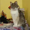 Отзыв от Вика Плотникова